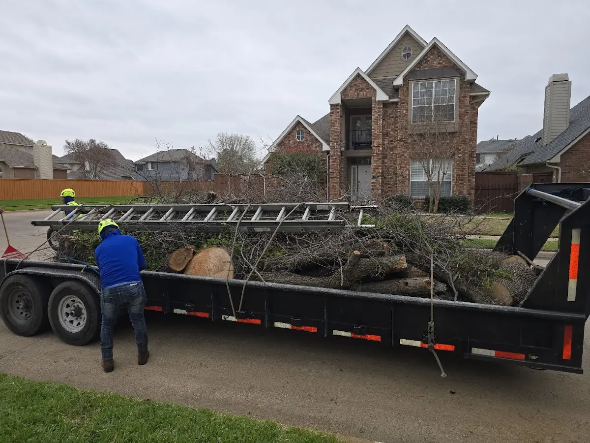Expert Crown Reduction with proper safety equipment in North Lawrence